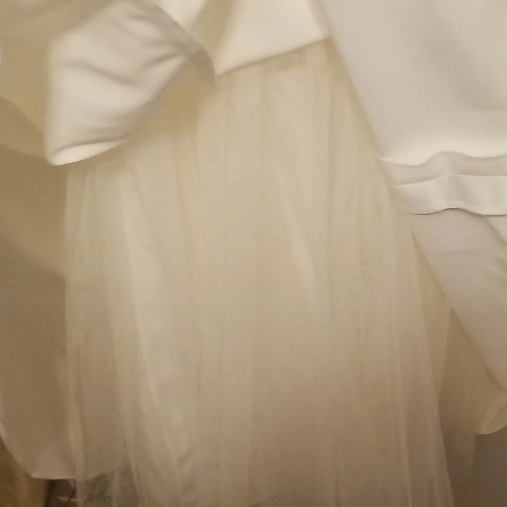 David's Bridal Michael Angelo Dress - Picture 5 of 6